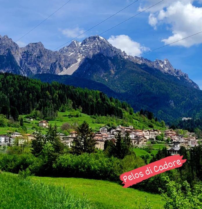 Photo of Others in Pelos di Cadore
