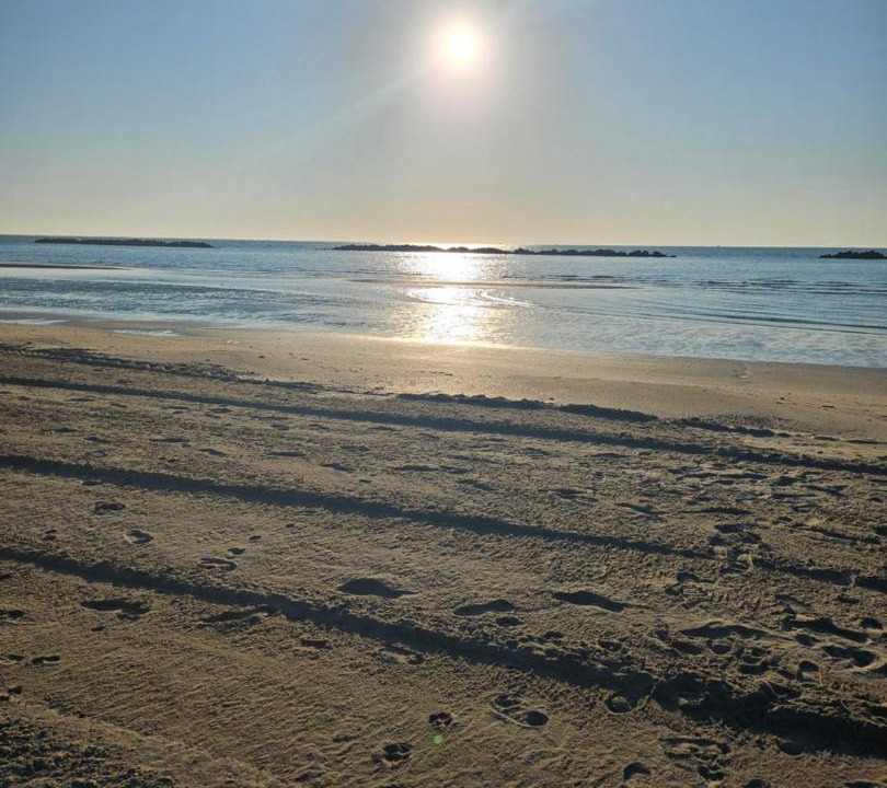 Photo of Others in Lido delle Nazioni