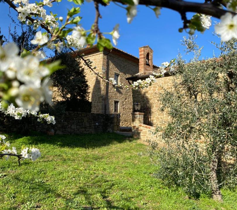 Photo of Others in Monte San Savino