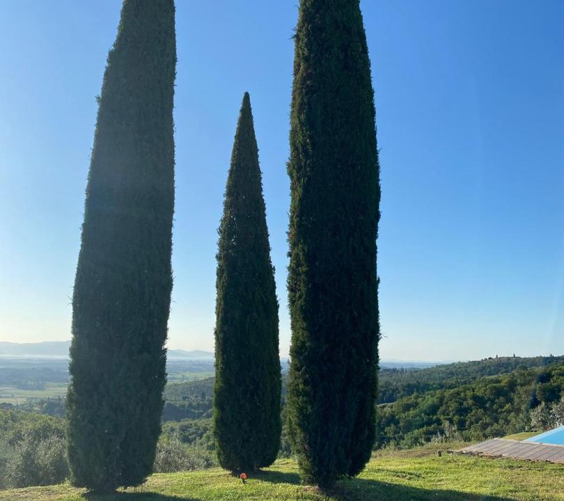 Photo of Others in Monte San Savino