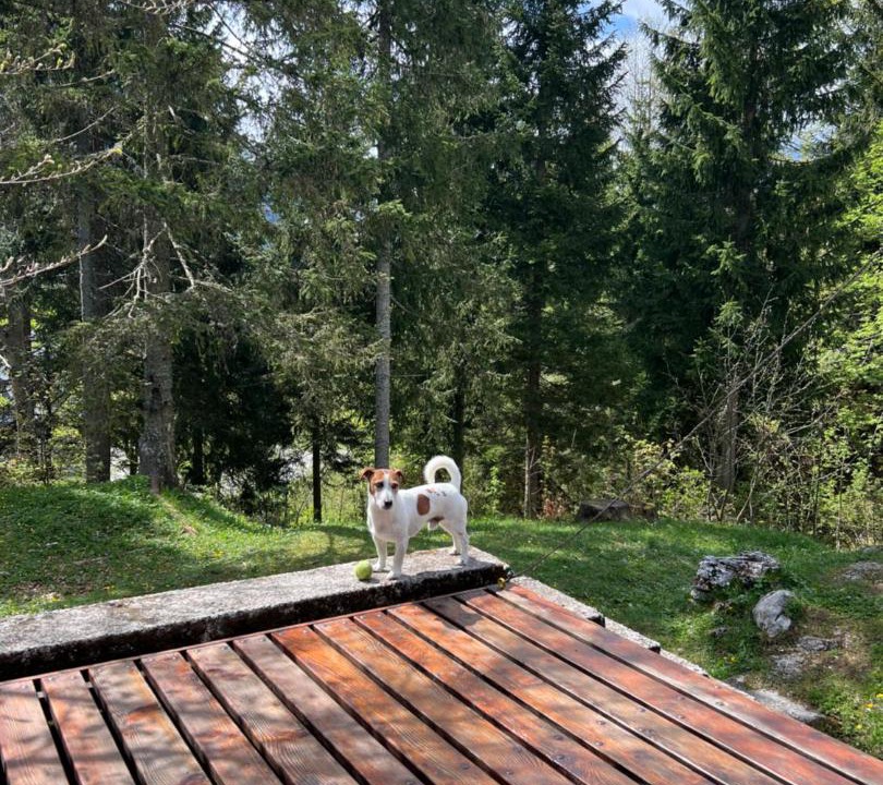 Photo of Others in Sella Nevea