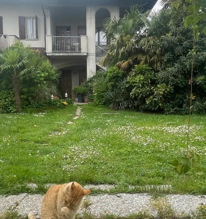 Photo of Others in Pontirolo Nuovo