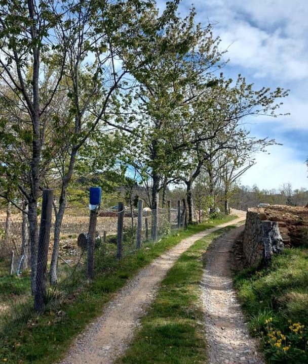 Photo of Others in Fosciandora