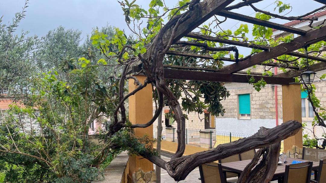 Photo of Others in Santa Caterina