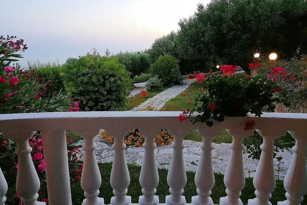 Photo of Others in Camerota