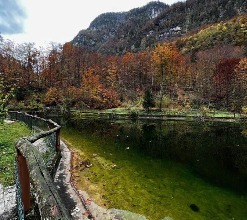 Photo of Others in Sella Nevea