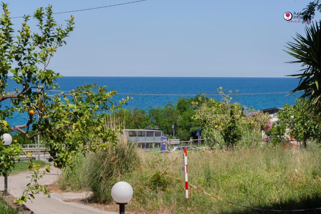 Photo of Others in Vallevo