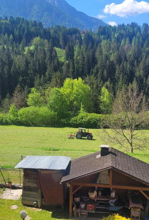 Photo of Others in Pelos di Cadore