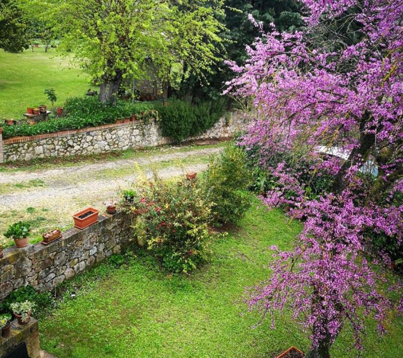 Photo of Others in Sovicille