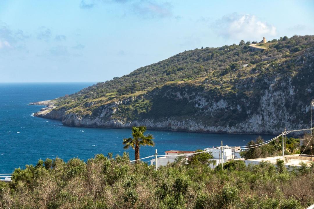 Photo of Others in Marina Serra