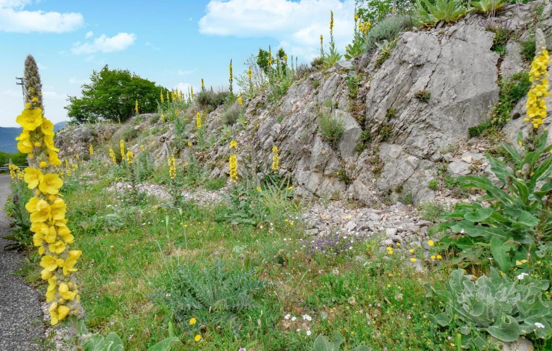 Photo of Outdoor in Serrone