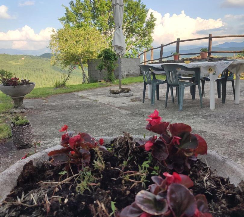 Photo of Others in Rovere