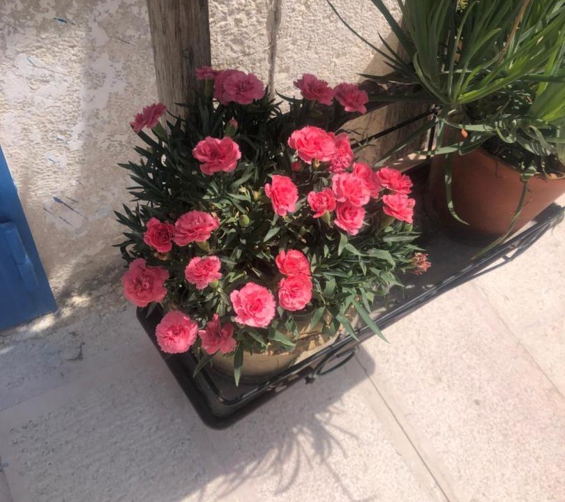Photo of Others in Canosa di Puglia