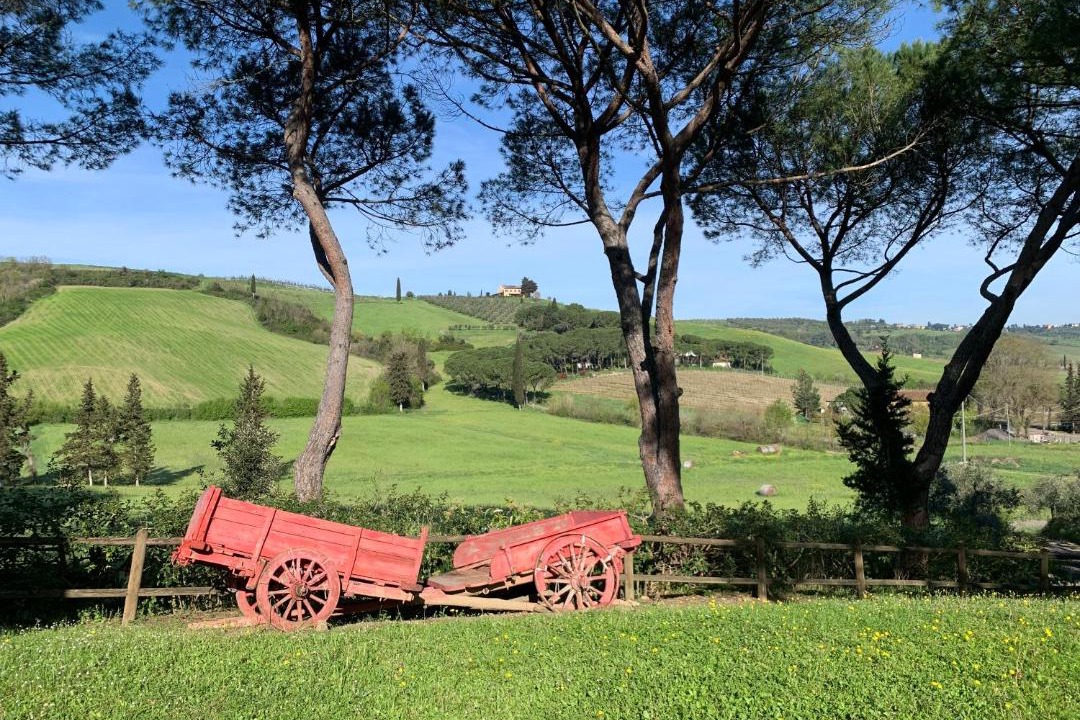 Photo of Others in Castelfiorentino