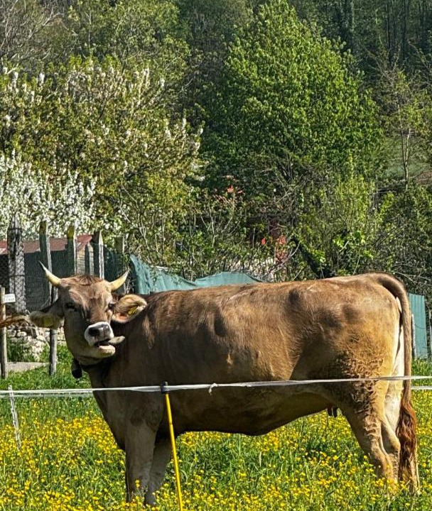 Photo of Others in Villaggio Belmonte