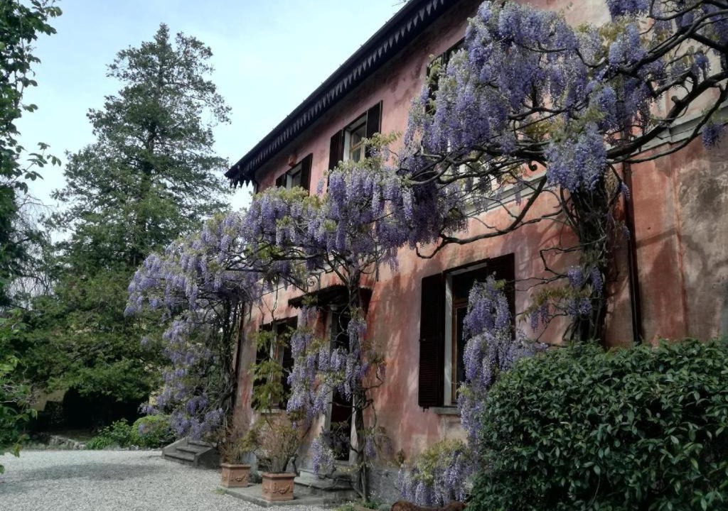 Photo of Others in Castello