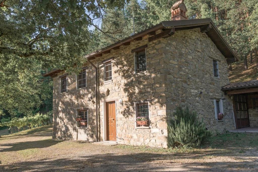 Photo of Others in Villa Minozzo