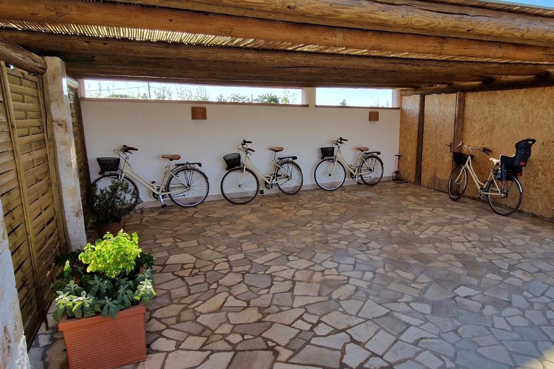 Photo of Buildings in Conversano