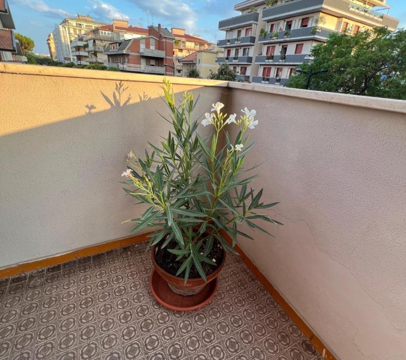 Photo of Patio Balcony in Pineta