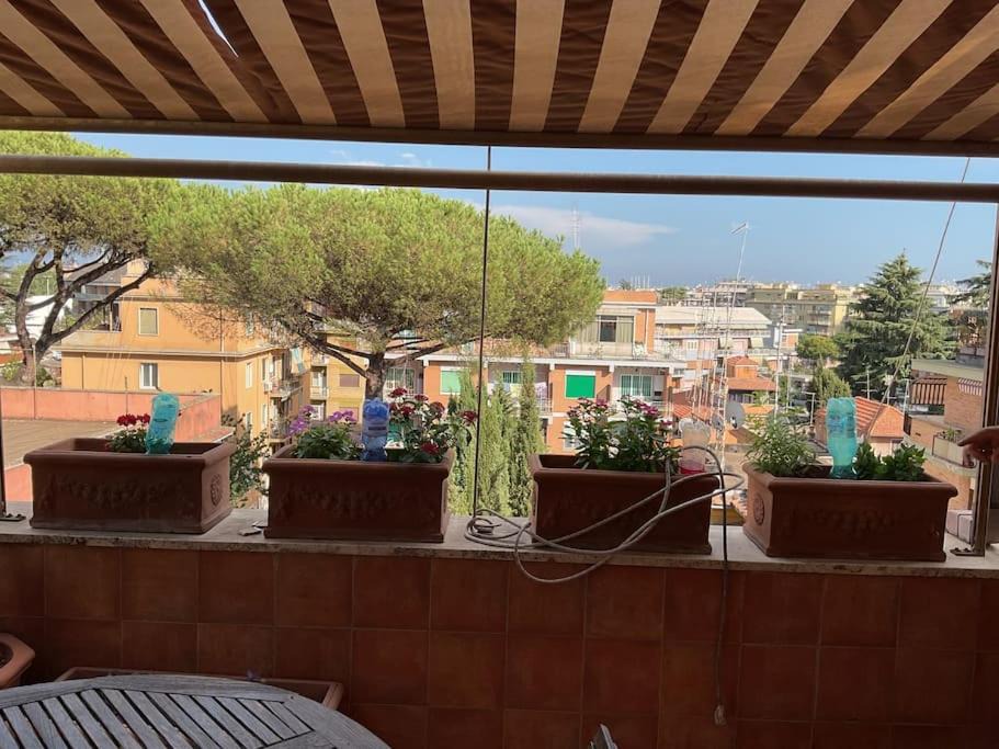 Photo of Patio Balcony in Quartiere XXVII Primavalle