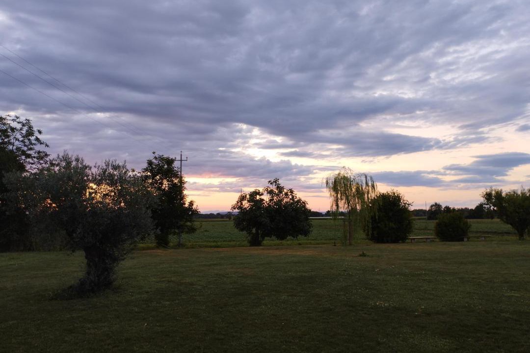 Photo of Others in Villa Vicentina