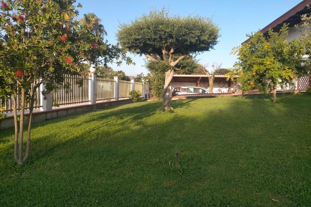 Photo of Others in Latina Lido