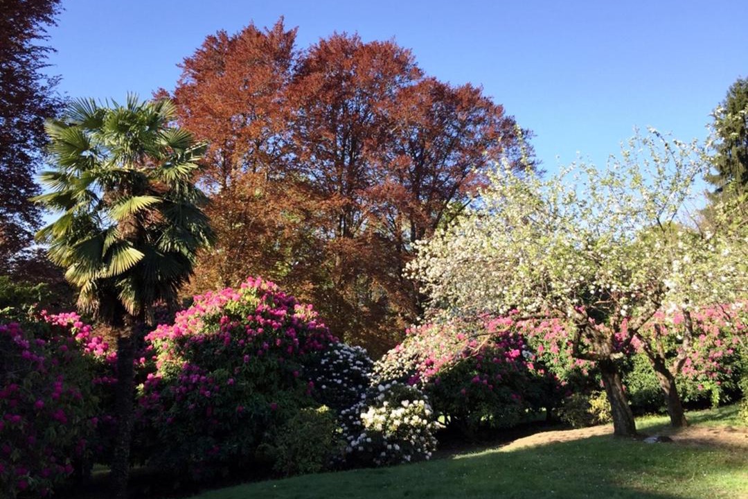Photo of Outdoor in Cissano