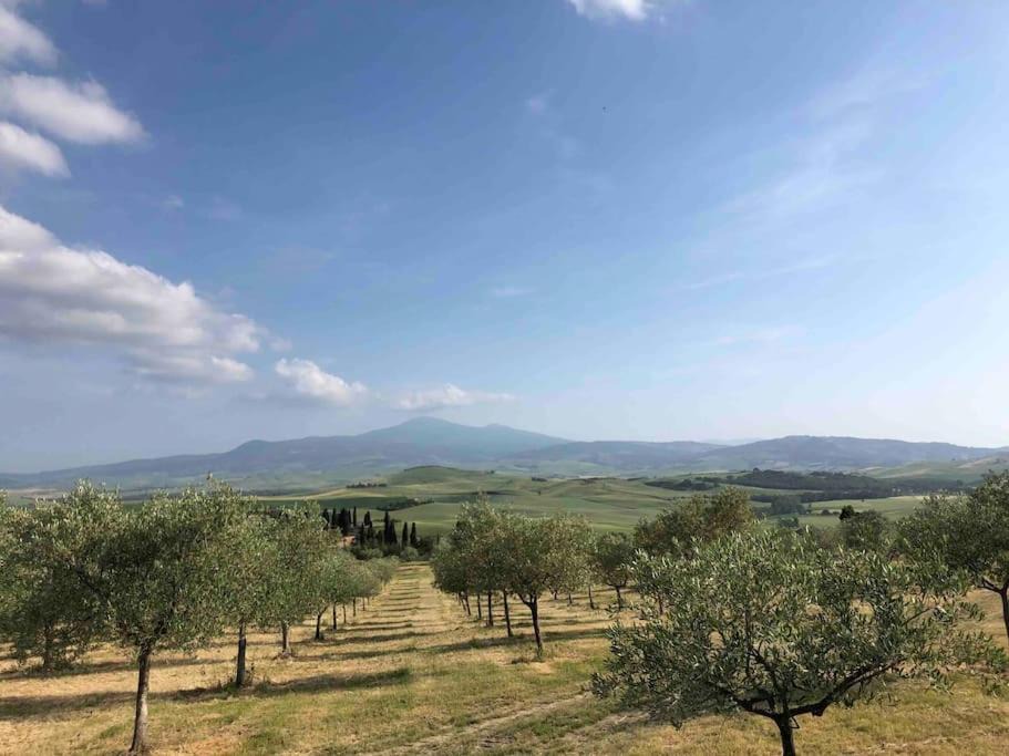 Photo of Others in Pienza