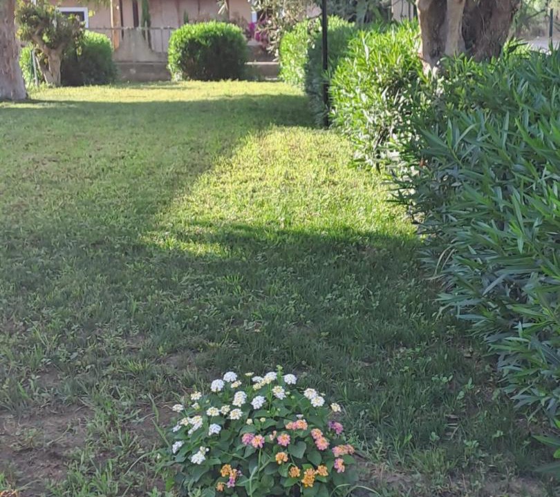 Photo of Others in Crotone