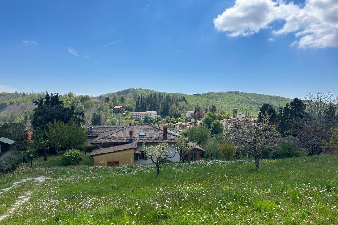 Photo of Others in Prunetta