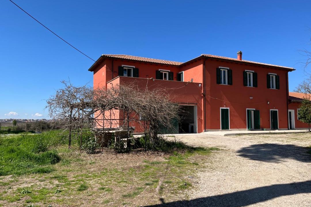 Photo of Others in Guidonia Montecelio