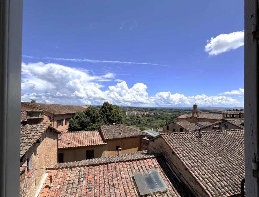 Photo of Others in Siena City Centre