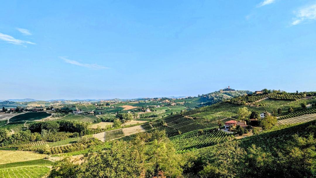 Photo of Others in Costigliole d'Asti