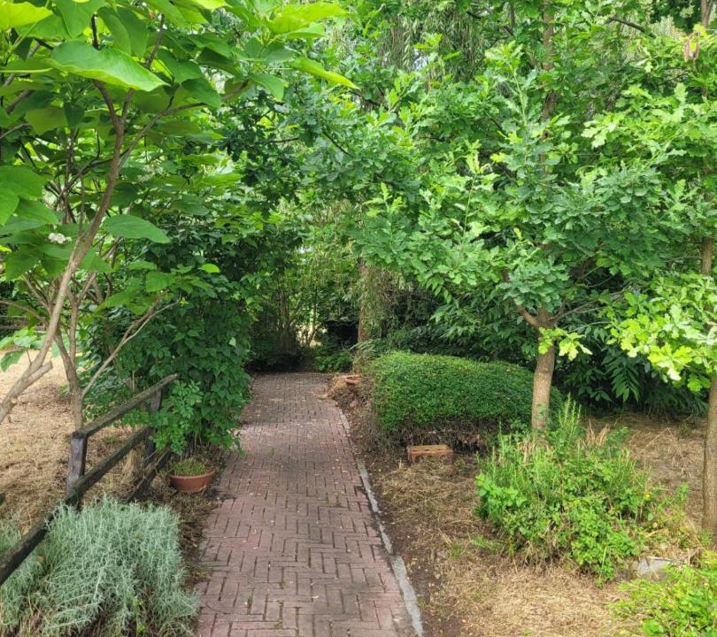 Photo of Outdoor in Casanova Lonati