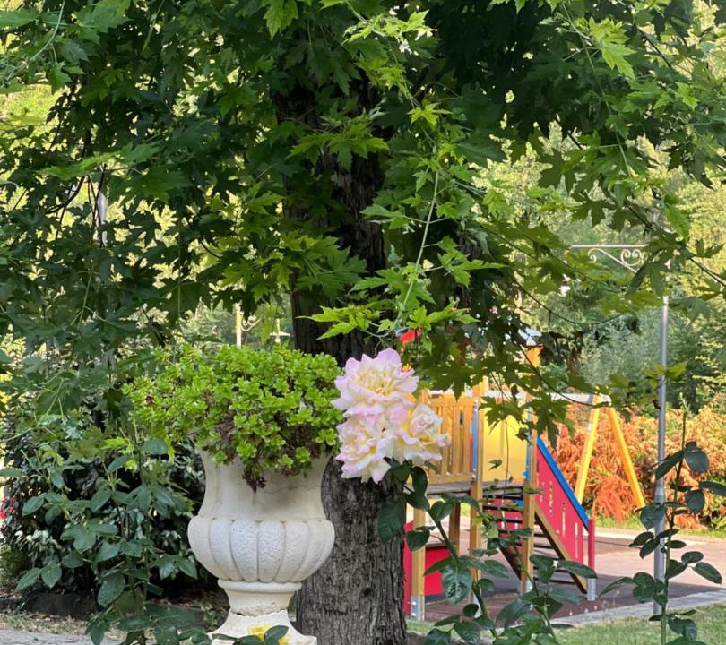 Photo of Others in Villa Minozzo