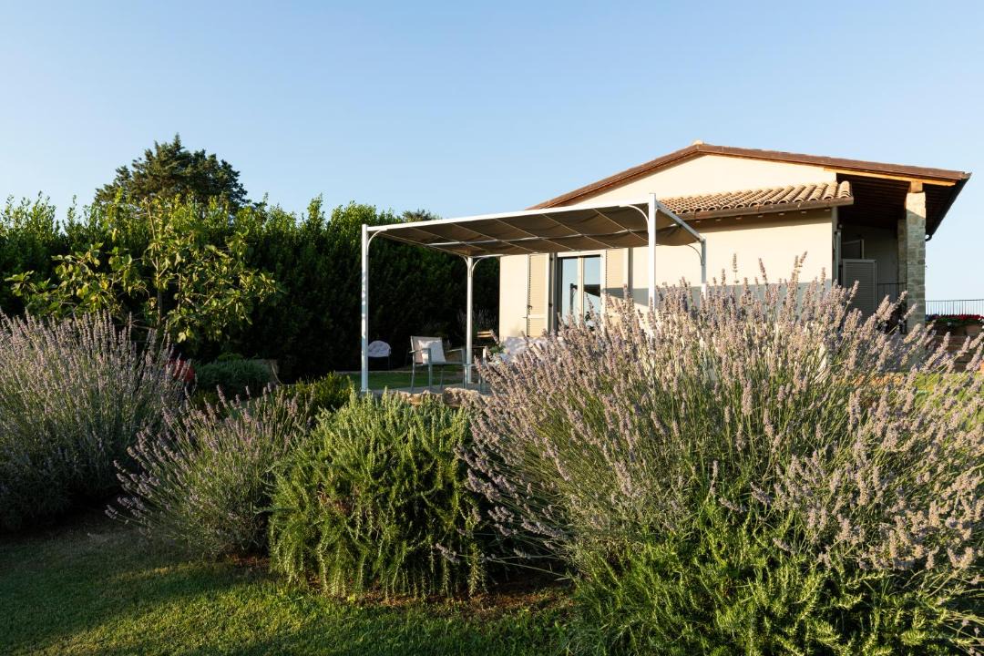 Photo of Others in Monte San Savino