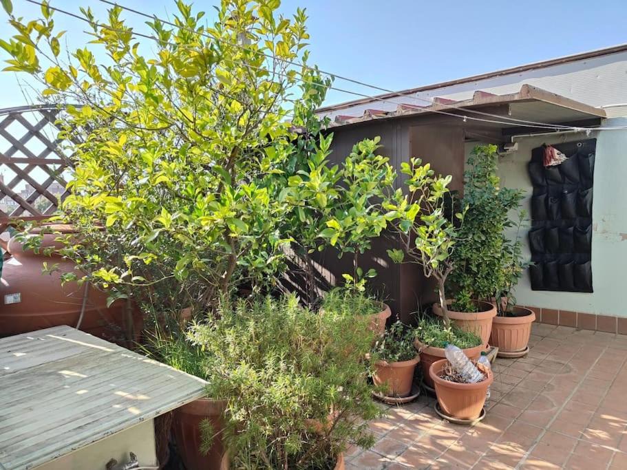 Photo of Patio Balcony in Su Planu