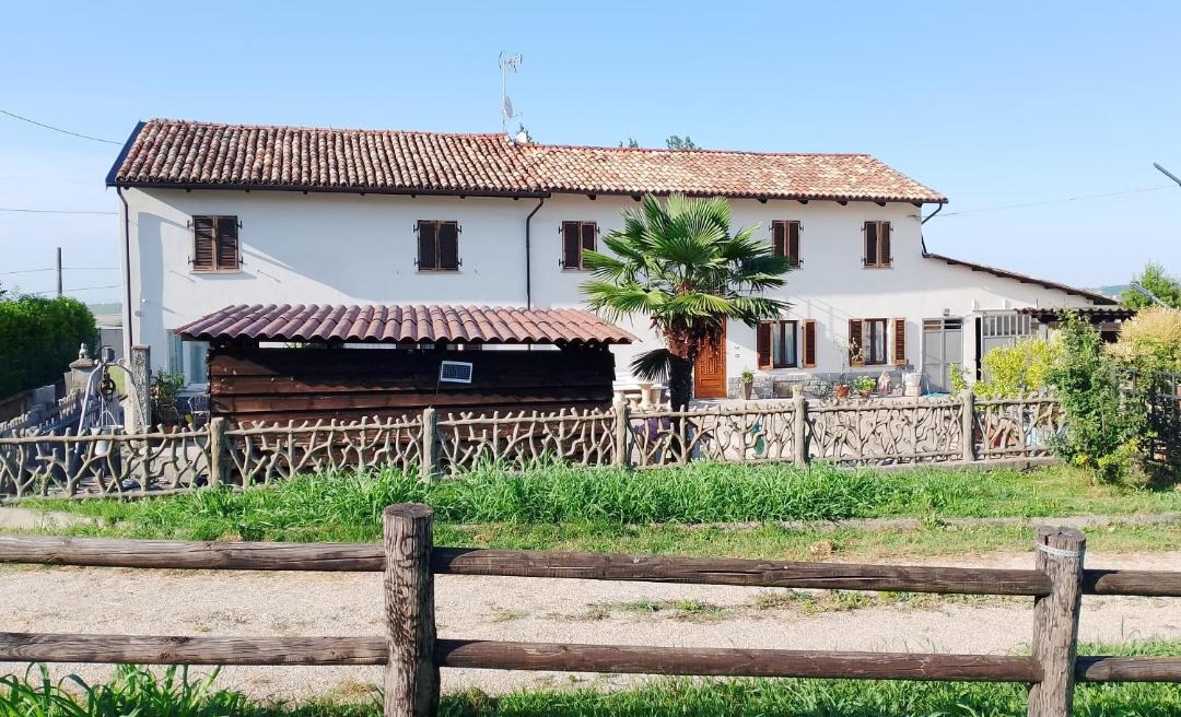 Photo of Others in Montegrosso dʼAsti