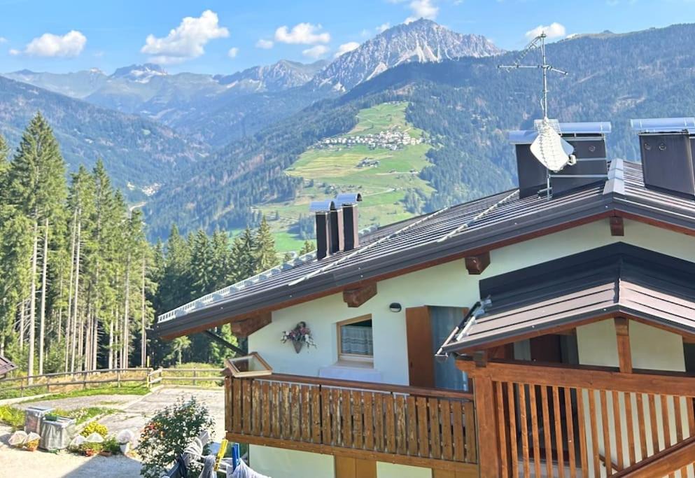 Photo of Others in Danta di Cadore