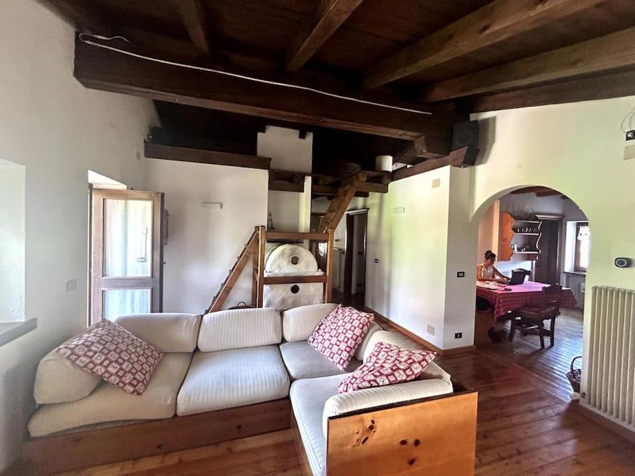 Photo of Others in Danta di Cadore
