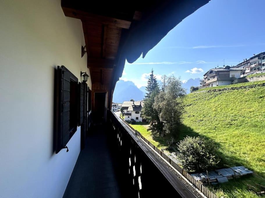 Photo of Others in Danta di Cadore