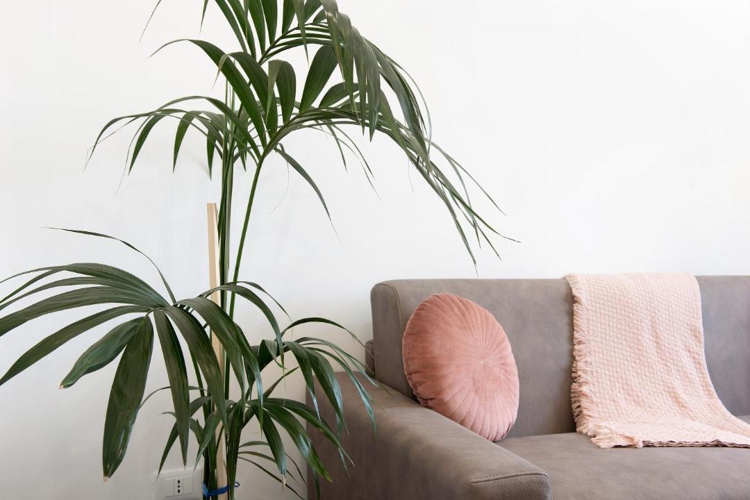 Photo of Livingroom in Savona