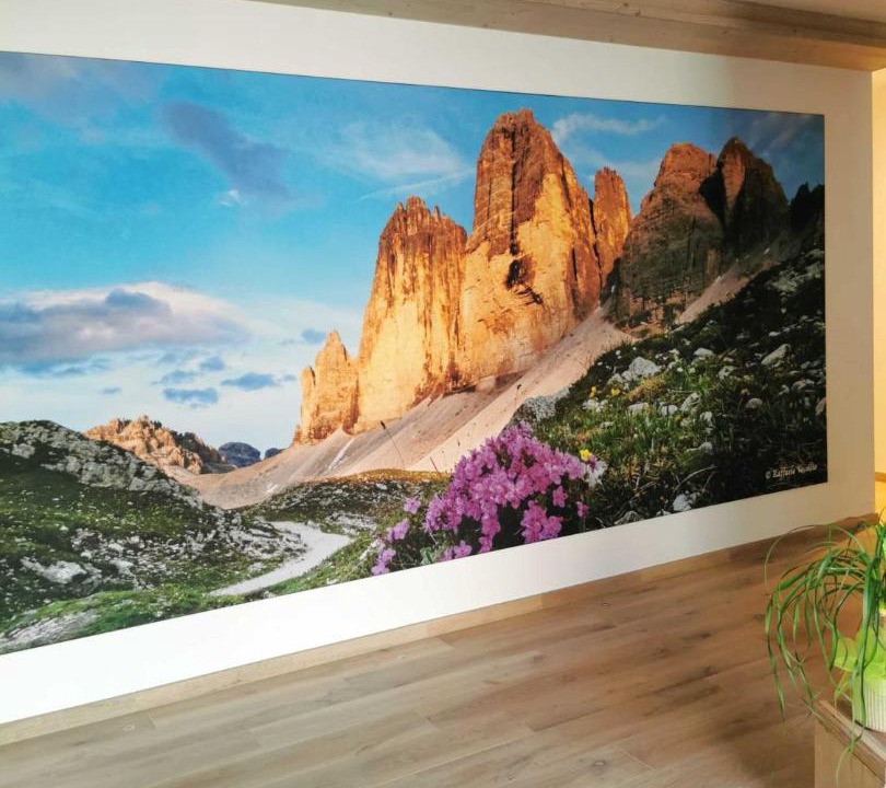 Photo of Others in Lozzo di Cadore