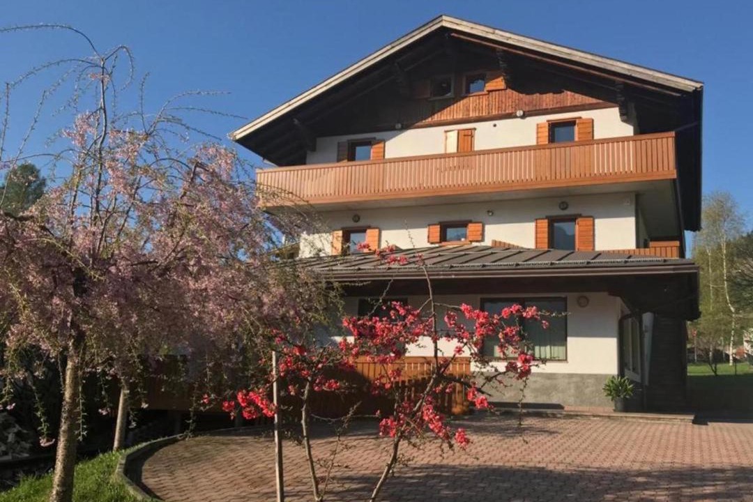 Photo of Others in Lozzo di Cadore