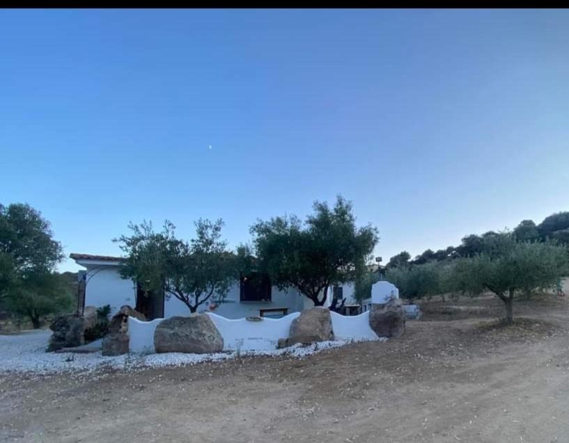 Photo of Others in Irgoli