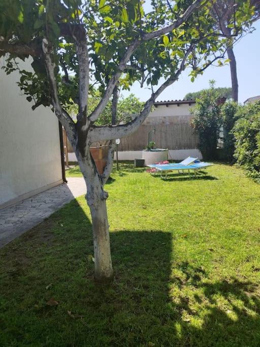 Photo of Others in Latina Lido