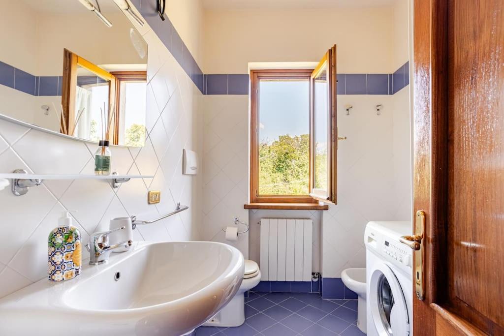 Photo of Bathroom in Avaglio