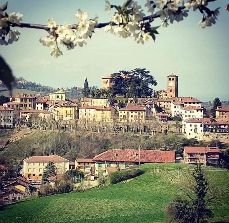 Photo of Others in Casalborgone