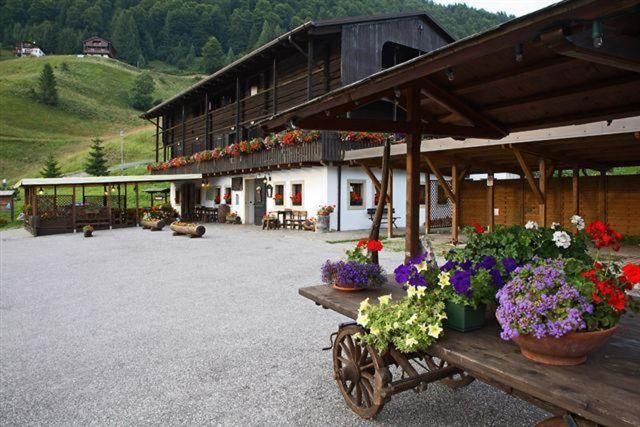 Photo of Others in Sauris