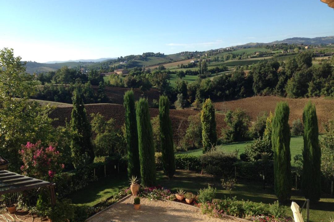 Photo of Others in Castelvetro di Modena